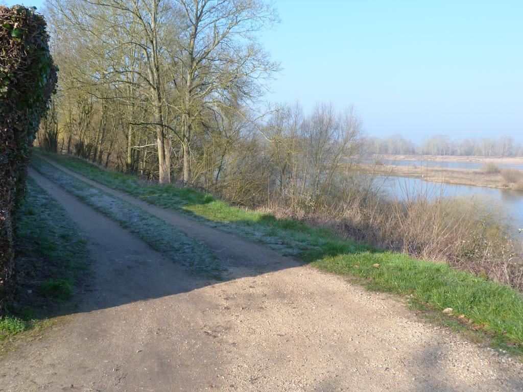 Les Gites De Colliers Muides-sur-Loire 객실 사진
